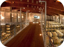 Vite-Colte-Winery Vite-Colte-Winery
